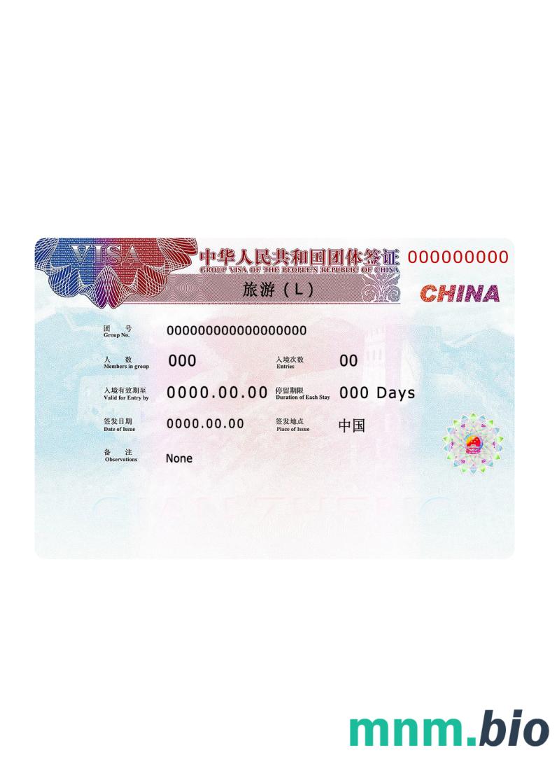 China visa 2019 present